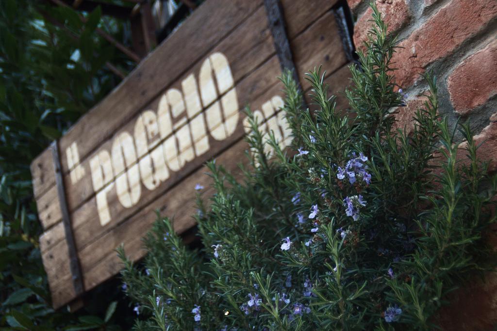 Il Poggio B&B San Damiano al Colle Ngoại thất bức ảnh