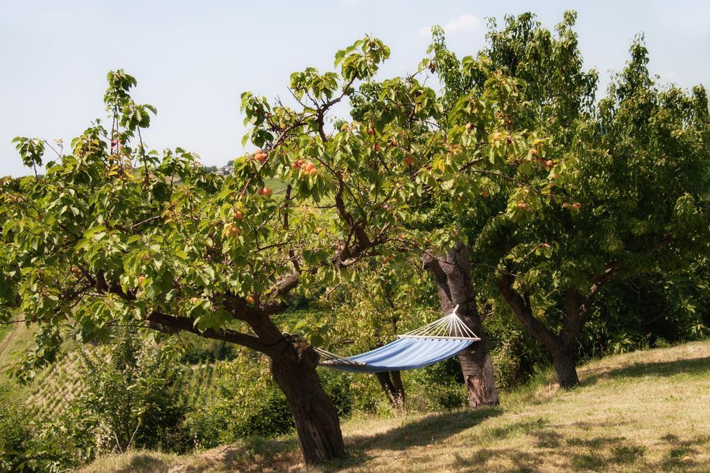 Il Poggio B&B San Damiano al Colle Ngoại thất bức ảnh